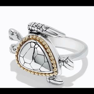 Meet your Posher, Ally